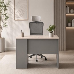 مكتب مقاس 1.20 OT-6605 L.WOOD(n. eucalyptus)